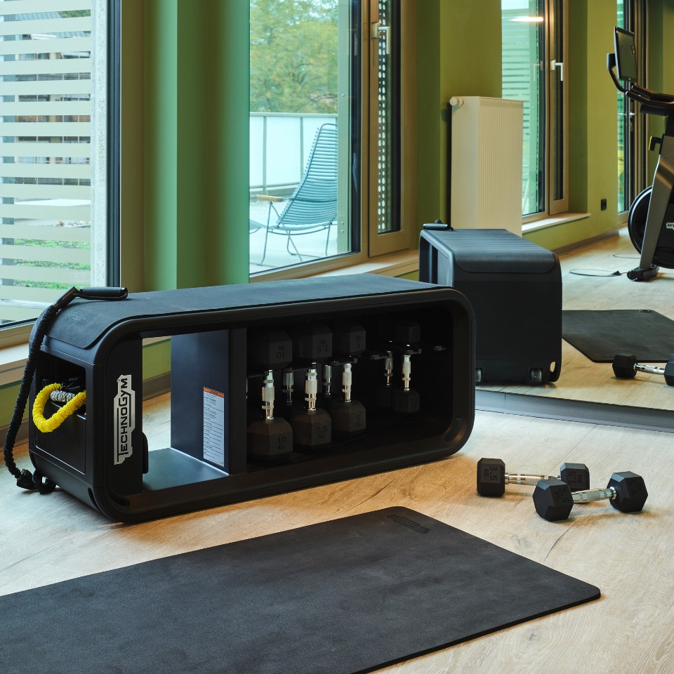 A sleek home gym setup featuring a black dumbbell rack, a yoga mat, and various weights, with large windows and green walls.