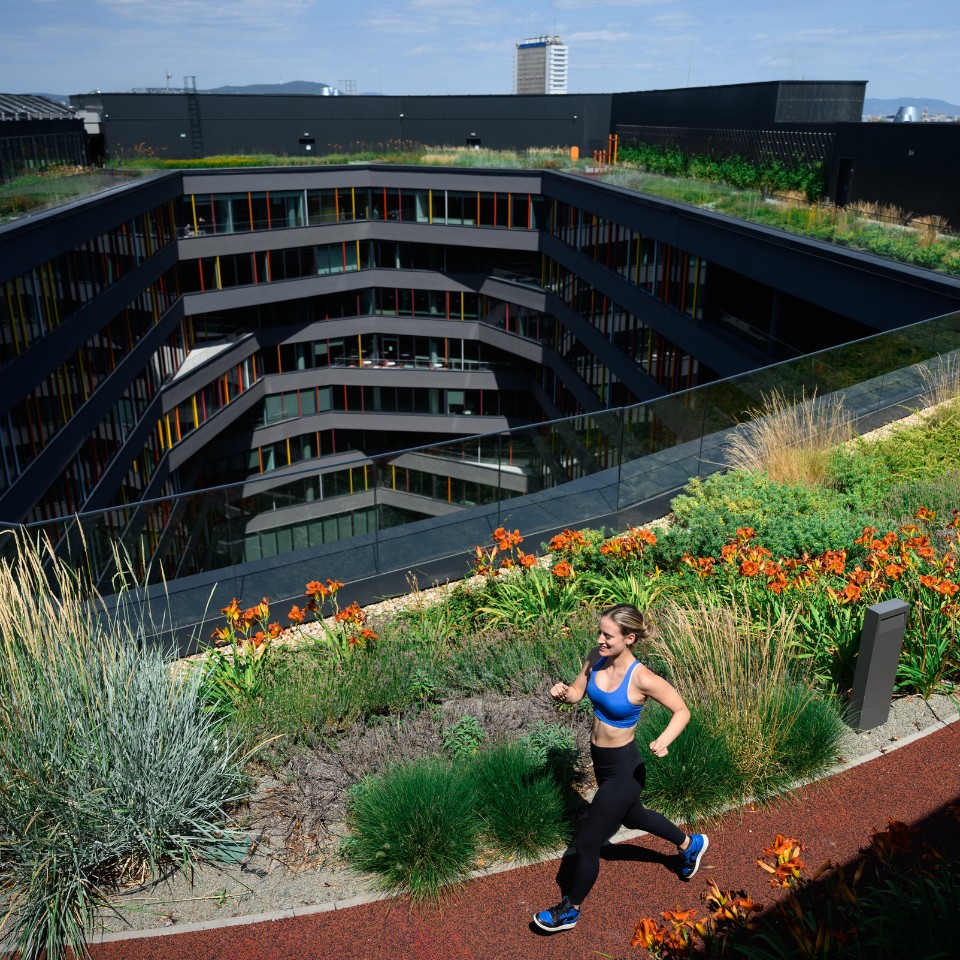 Woman jogging on a rooftop path surrounded by greenery and orange flowers with a modern building courtyard in the background under a clear sky.
