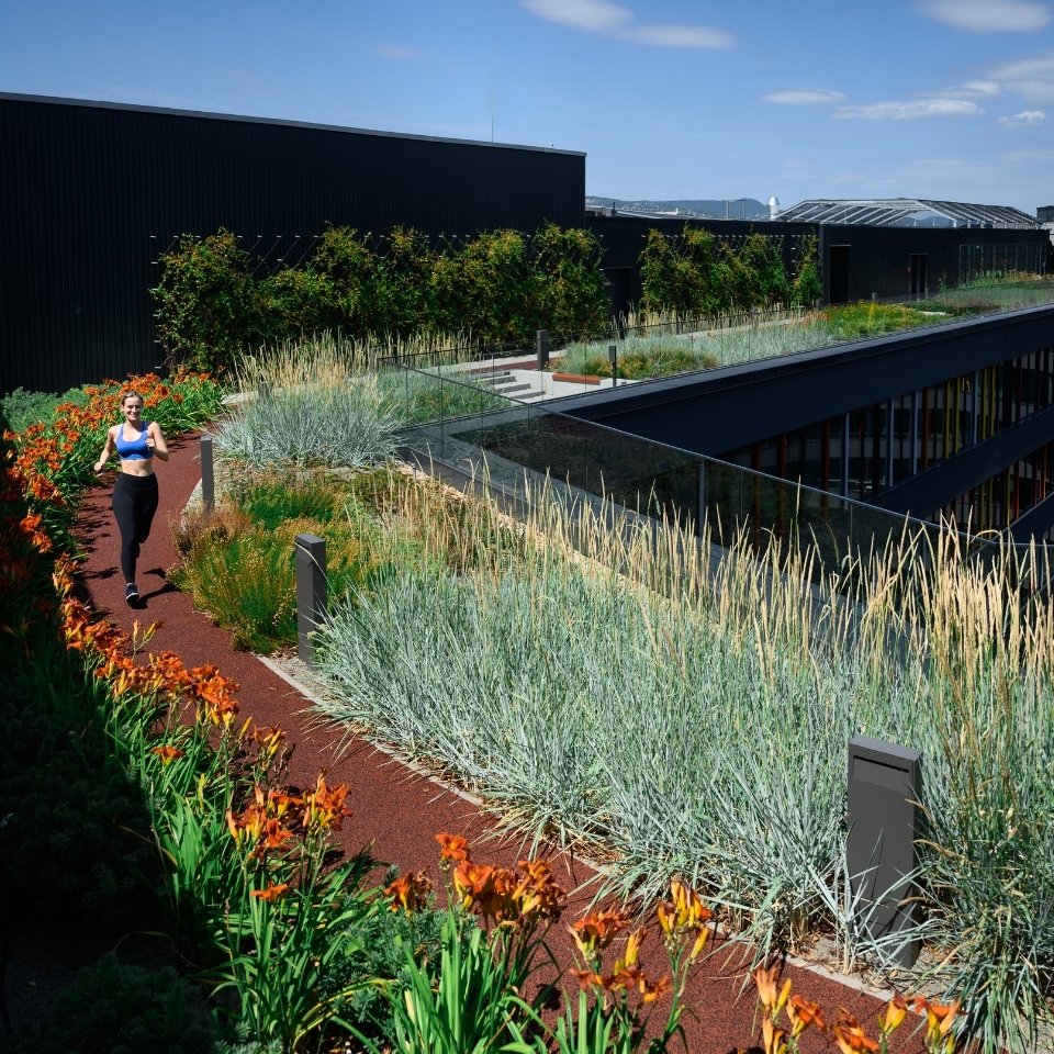 Woman jogging on a rooftop garden path surrounded by tall grass, orange flowers, and modern building structures under a clear blue sky.