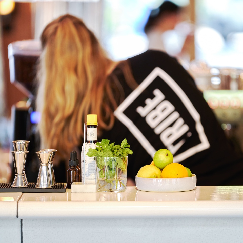 Mint, citrus fruit and cocktail tools on the bar counter.