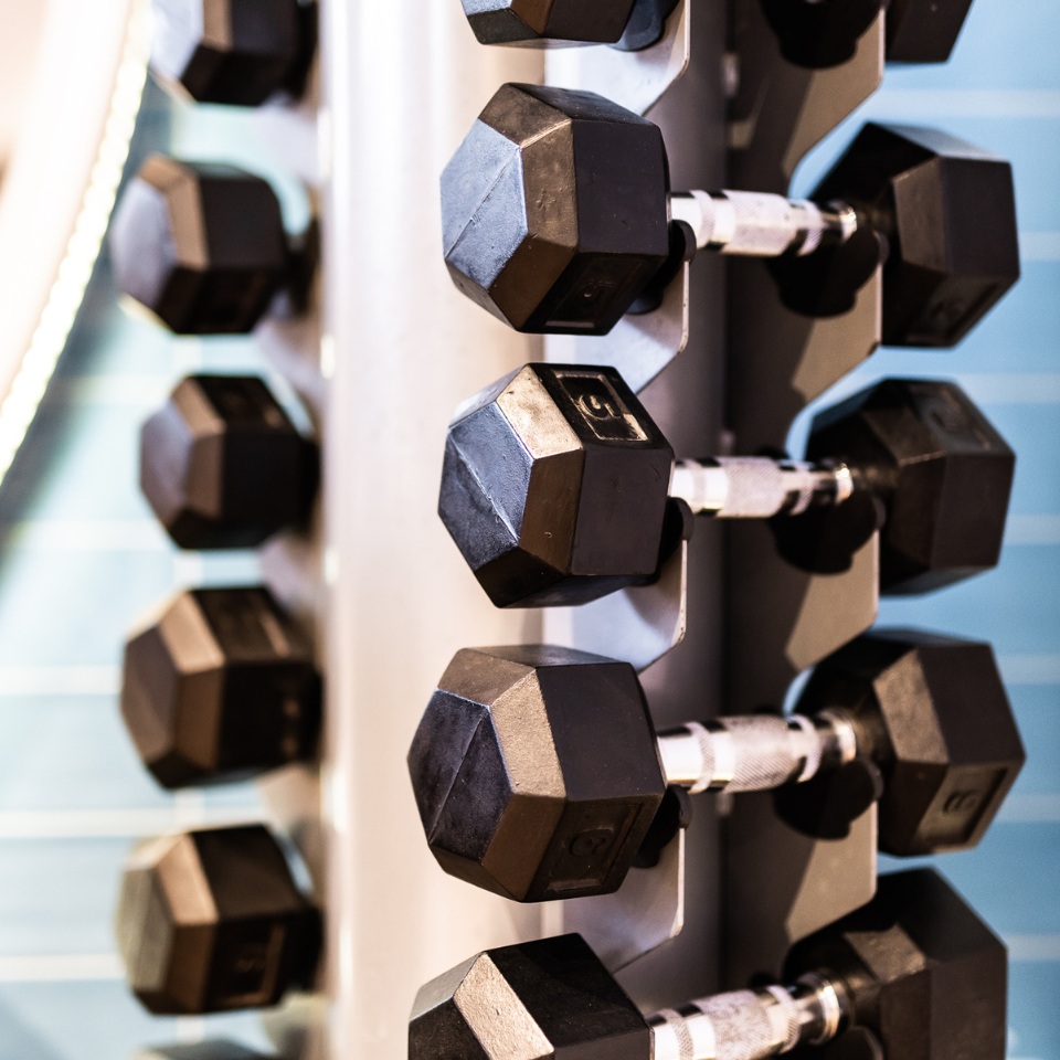 Close-up of a rack displaying hexagonal black dumbbells of varying weights, neatly organized for gym use.