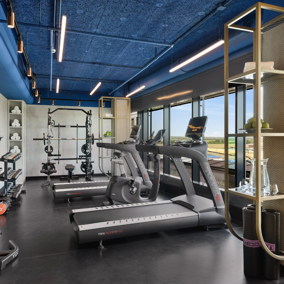 Modern gym with blue ceiling, featuring two treadmills facing large windows, a weight rack, squat station, and shelves holding towels and fruits. Bright and spacious atmosphere.