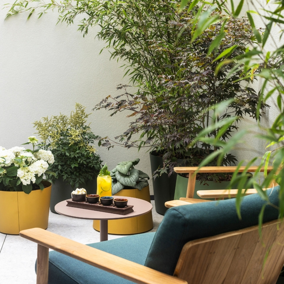 Un patio chaleureux avec des plantes vertes et des chaises confortables, créant un espace extérieur relaxant.