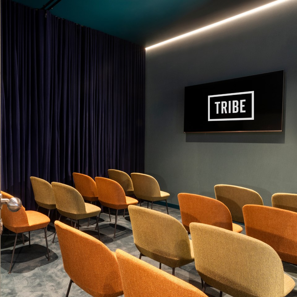 A small conference room with two rows of orange and beige chairs facing a wall-mounted screen displaying the word "TRIBE." The room has a dark blue curtain.